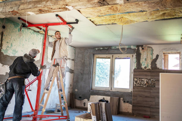 Best Insulation Installation Services in Burnsville, MN