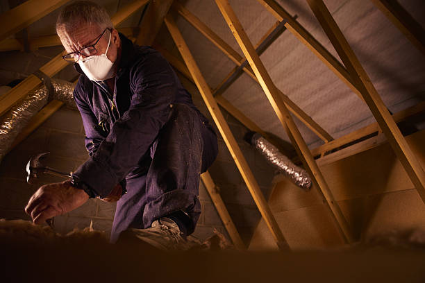 Best Residential Insulation in Burnsville, MN